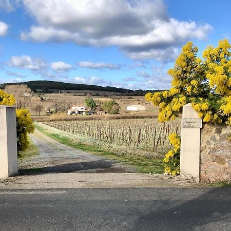 Domaine De Peilhan Roujan ภายนอก รูปภาพ
