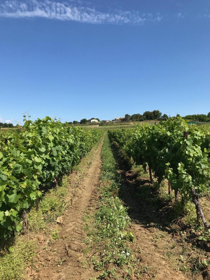 Domaine De Peilhan Roujan ภายนอก รูปภาพ