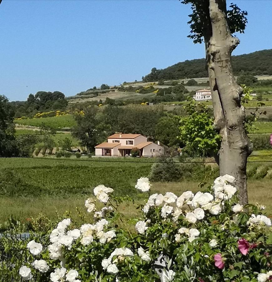Domaine De Peilhan Roujan ภายนอก รูปภาพ