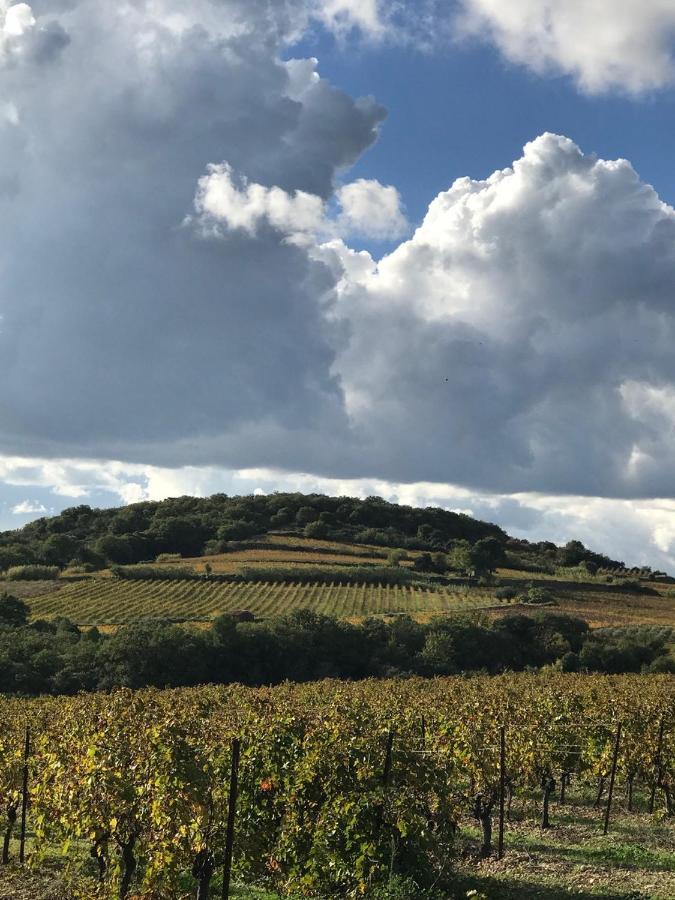 Domaine De Peilhan Roujan ภายนอก รูปภาพ
