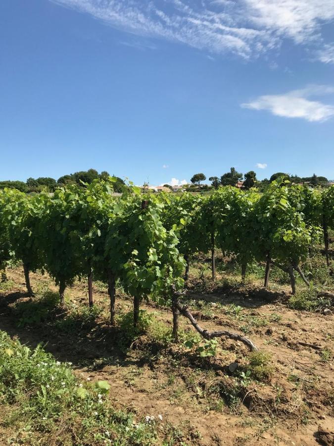 Domaine De Peilhan Roujan ภายนอก รูปภาพ