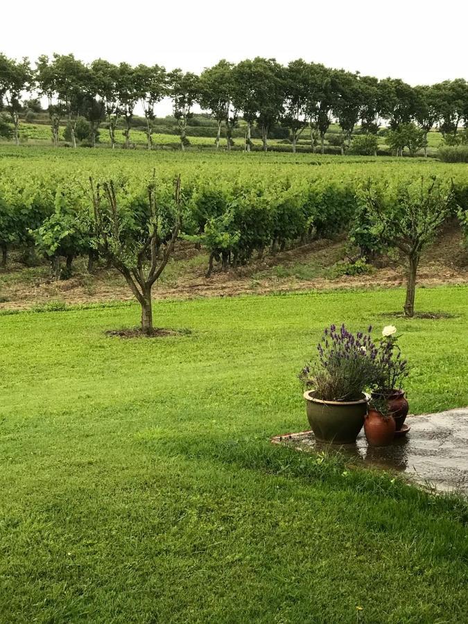 Domaine De Peilhan Roujan ภายนอก รูปภาพ