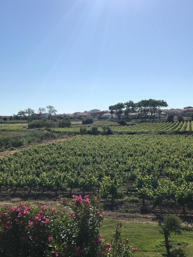 Domaine De Peilhan Roujan ภายนอก รูปภาพ